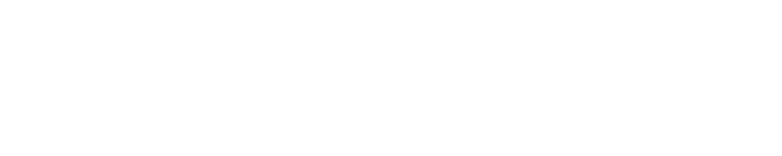 Blank white image used as a spacer in the layout